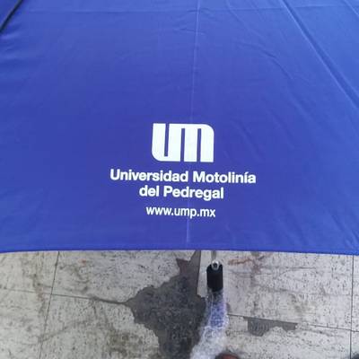 Proyecto de Promocionales · Grupo Beyond