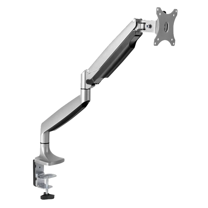 Soporte para 1 Monitor LDT10-CO12