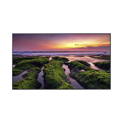 Pantalla Profesional LED de 55″, UHD 4K (3840x2160p), Entradas de Video HDMI, Bocinas Integradas de 10 W. Compatible VESA