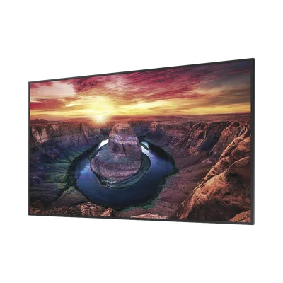 Pantalla Profesional LED de 32″, FHD (1920x1080p), Entradas de Video HDMI, Bocinas Integradas de 10 W. Compatible VESA