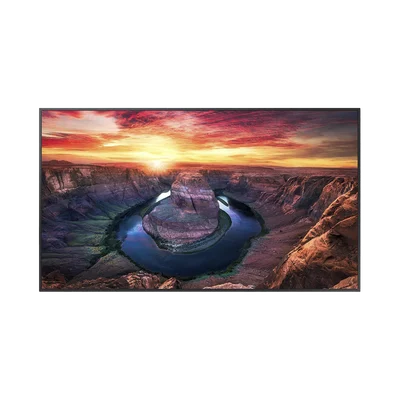 Pantalla Profesional LED de 65″, UHD 4K (3840x2160p), Entradas de Video HDMI/DisplayPort, Bocinas Integradas de 10 W. Compatible VESA. Modo de Simulación DICOM