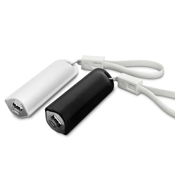 Power Bank Stern