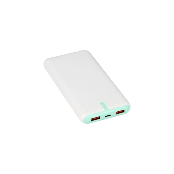 Power Bank Renard.